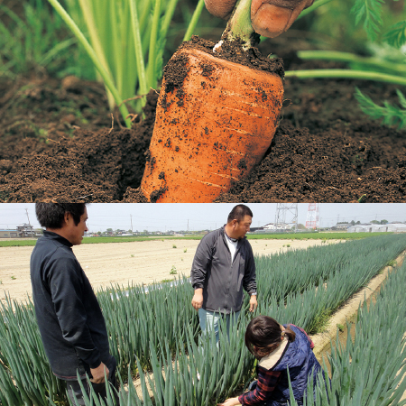 甘～い人参＆長ねぎ | 野菜宅配・有機野菜をお探しの方はこちら｜大地