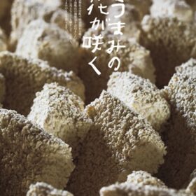 【NEWS大地を守る1月号】うまみの花が咲く