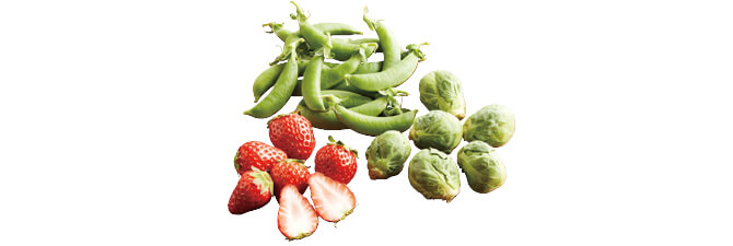 春を先取り 春野菜&いちごセット