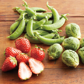 ころんとかわいい3種で春を先どり