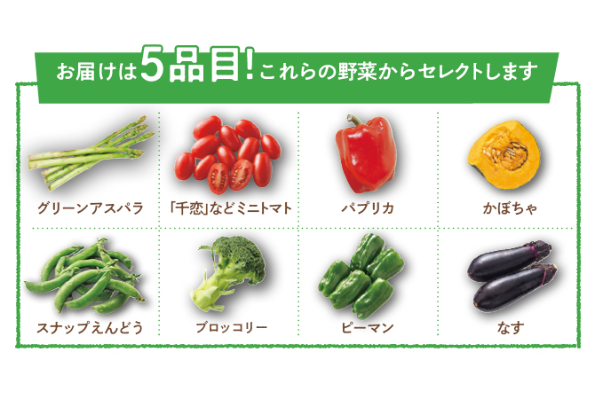 グリーンアスパラ、千恋などミニトマト、パプリカ、かぼちゃ、スナップえんどう、ブロッコリー、ピーマン、なすから5品目セレクトします