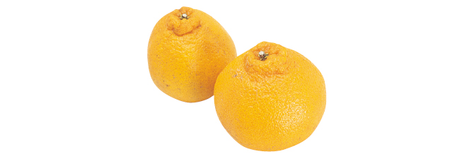 しらぬい(柑橘)