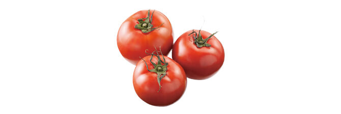 長崎・本村さんのがまだすトマト