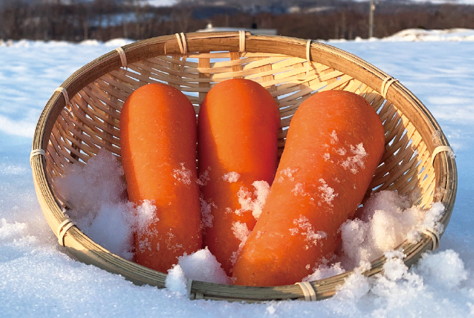 北海道・佐々木さんの雪下人参イメージ画像