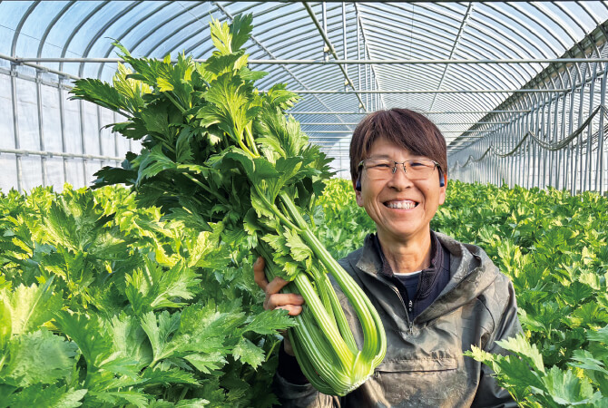 グリーンセロリの生産者、野菜くらぶ 塚本佳子さん(静岡県菊川市)