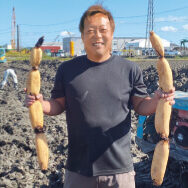 【新商品】コウノトリのすみかを守るれんこん