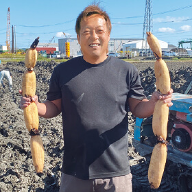 【新商品】コウノトリのすみかを守るれんこん