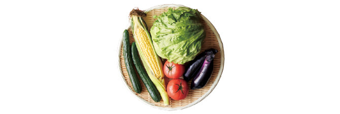 夏の食卓彩り野菜セットセット例