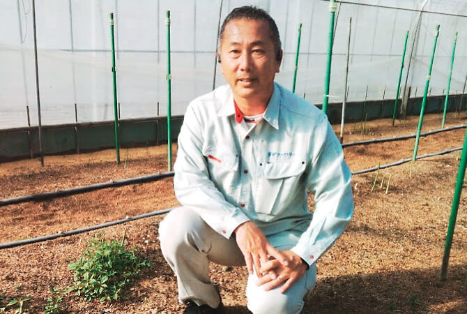 グリーンアスパラガスの生産者、熊本セーフティベジフル 山口隆博さん(熊本県八代郡)