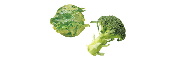 サラダや温野菜で楽しむ レタス&ブロッコリーのセット