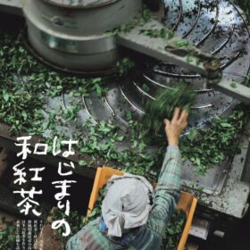 【NEWS大地を守る8月号】はじまりの和紅茶