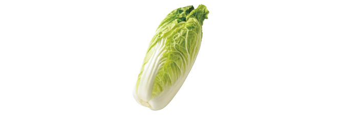 ミニ白菜