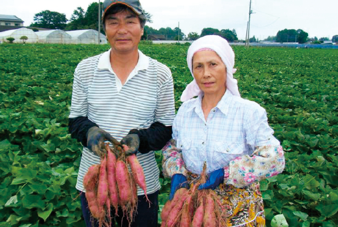秋の味覚まるごとセットの生産者、堀田義明さんとお連れ合いの美智子さん(茨城県行方市)