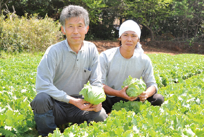 秋採れレタスの生産者、飯塚一実さんと、息子の雅弘さん(茨城県坂東市)